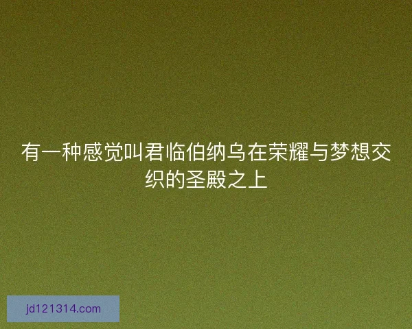有一种感觉叫君临伯纳乌在荣耀与梦想交织的圣殿之上 有一种感觉叫君临伯纳乌在荣耀与梦想交织的圣殿之上